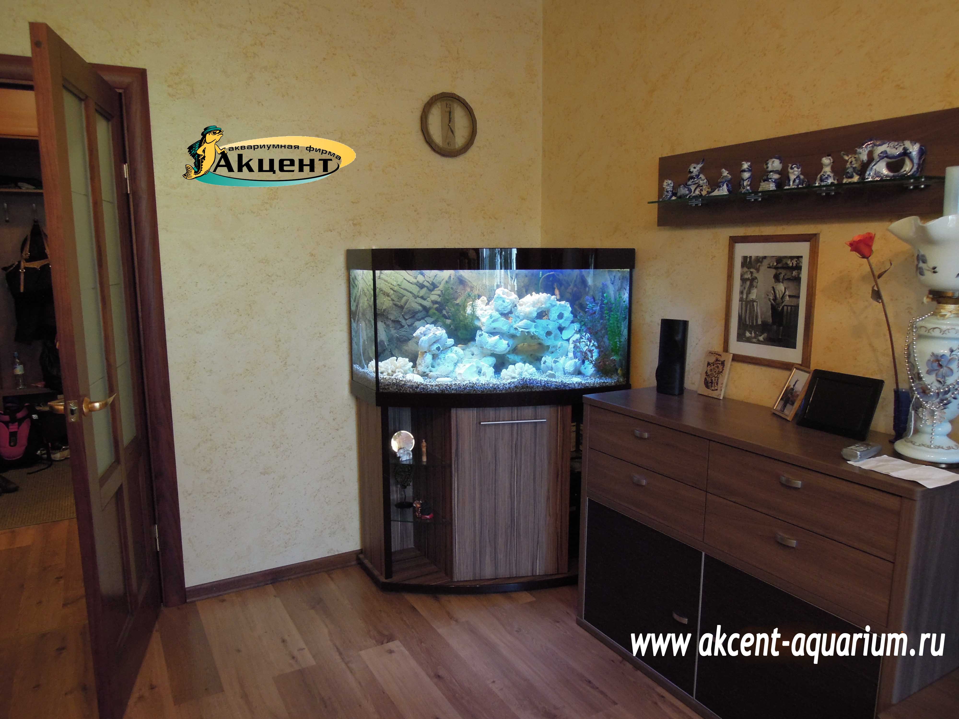 Акцент-Аквариум аквариум 350 литров с гнутым передним стеком,отделка акрил